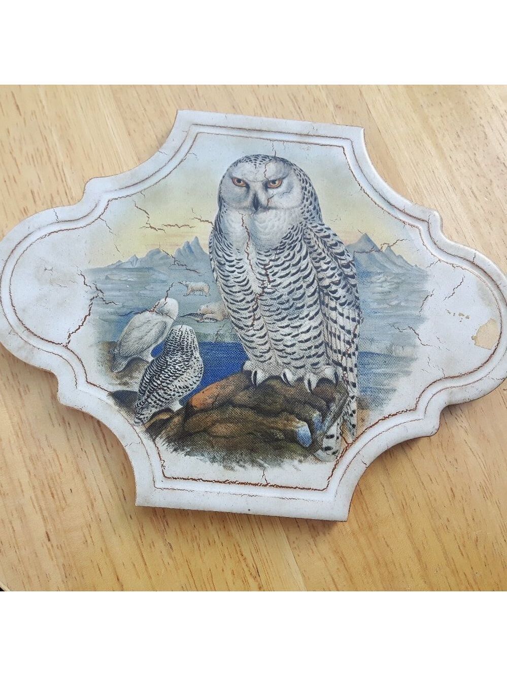 Snowy Owl Trivet Made in Italy